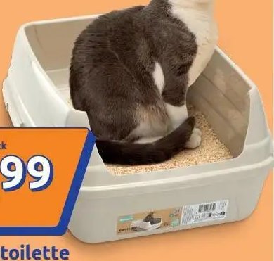 Katzentoilette