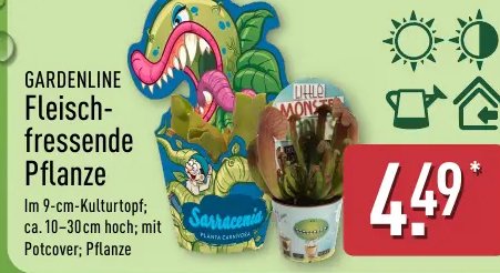 GARDENLINE Fleisch-fressende Pflanze