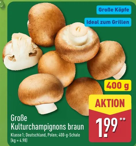 Große Kulturchampignons braun