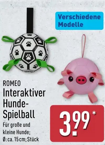 ROMEO Interaktiver Hunde-Spielball