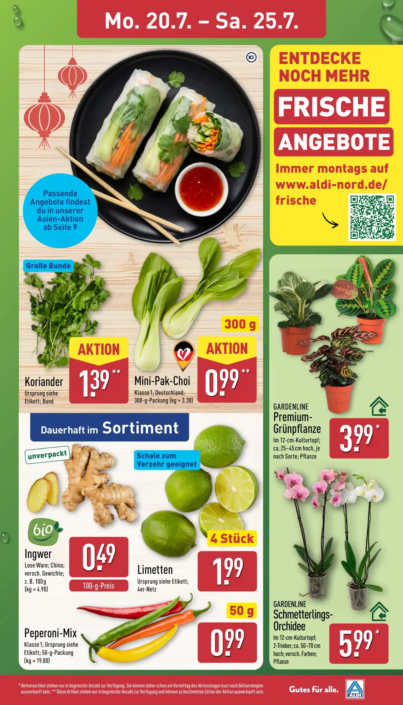 Aldi Nord Prospekt Seite 3