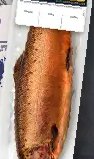 LACHSFILET