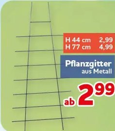 Pflanzgitter