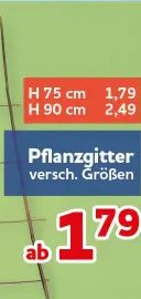 Pflanzgitter