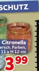 Citronella