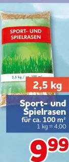 Sport- und Spielrasen