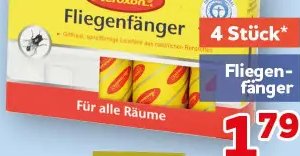 Fliegenfänger