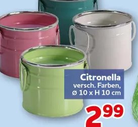 Citronella