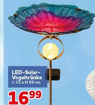 LED-Solar-Vogeltränke