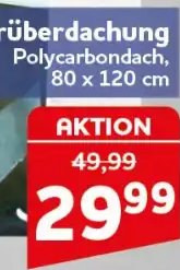 Türüberdachung