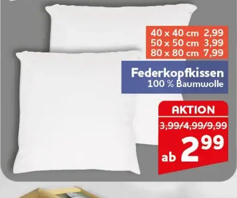 Federkopfkissen