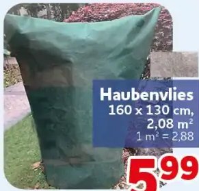 Haubenvlies