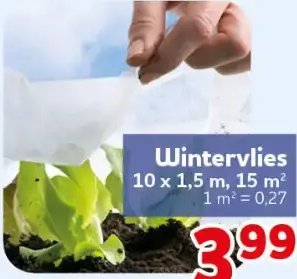 Wintervlies