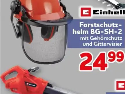 Forstschutzhelm BG-SH-2