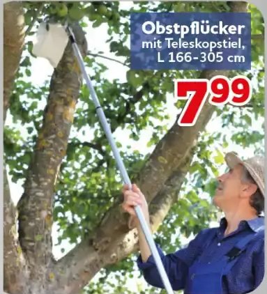 Obstpflücker