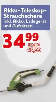 Akku-Teleskop-Strauchschere