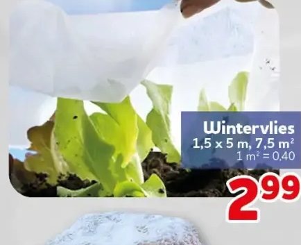 Wintervlies