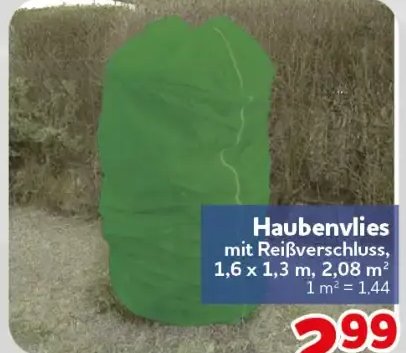 Haubenvlies
