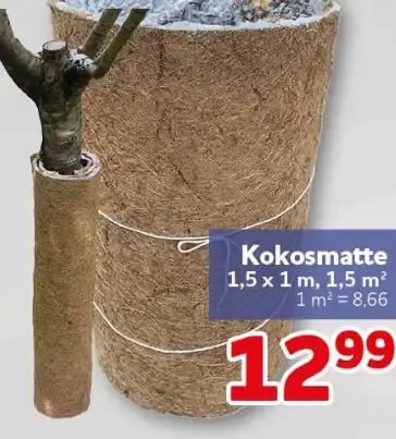 Kokosmatte