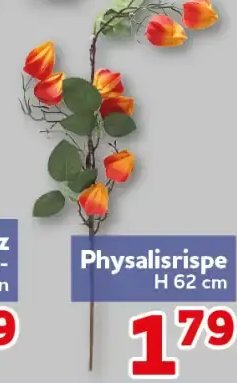 Physalisrispe