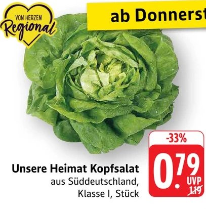 Unsere Heimat Kopfsalat