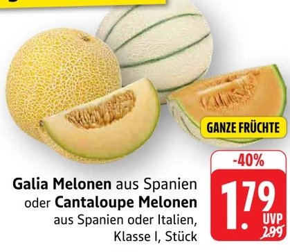Galia Melonen oder Cantaloupe Melonen