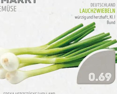LAUCHZWIEBELN