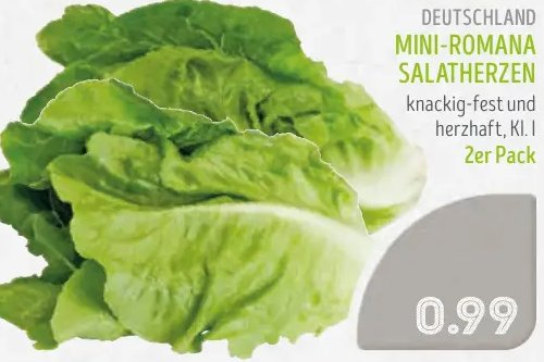 MINI-ROMANA SALATHERZEN