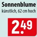 Sonnenblume