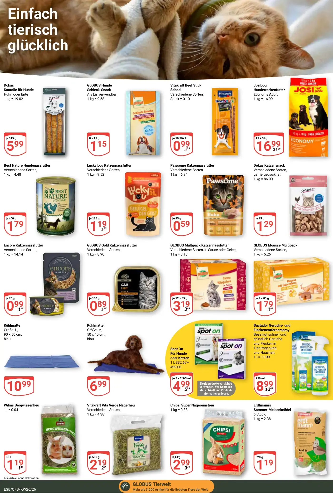 Globus Prospekt Seite 19