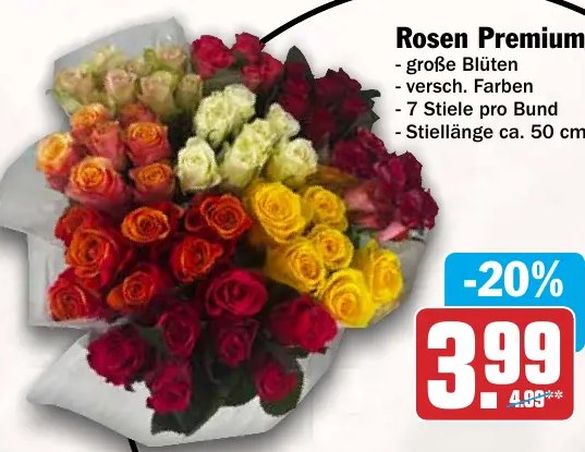 Rosen Premium