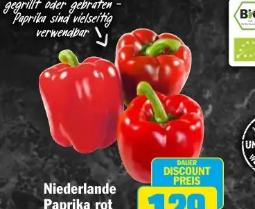 Niederlande Paprika rot