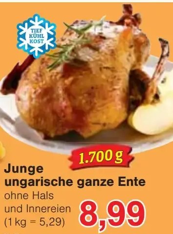 Junge ungarische ganze Ente