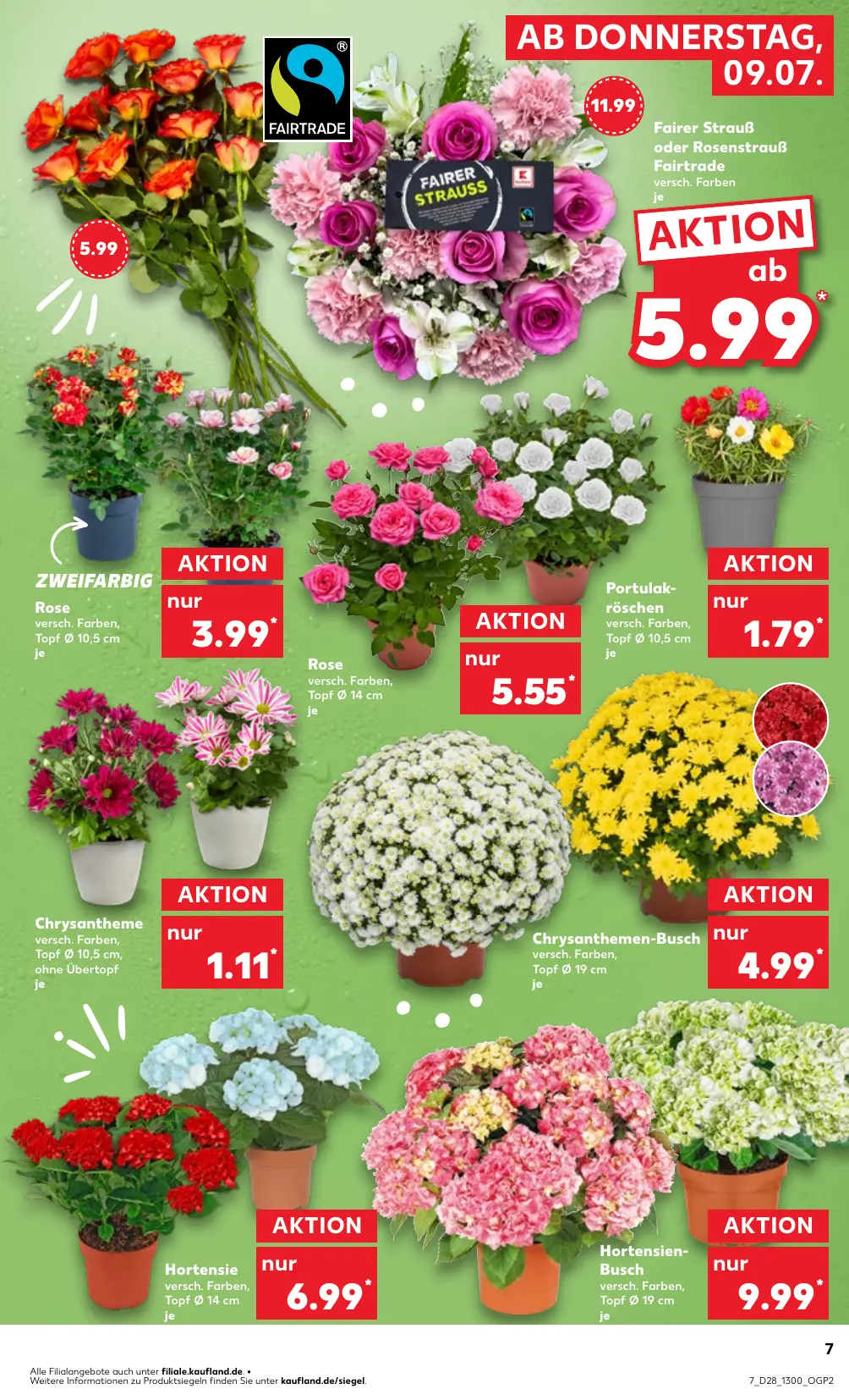 Kaufland Prospekt Seite 7