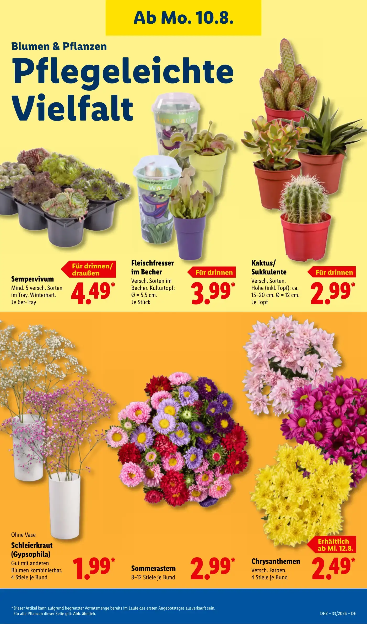 Lidl Prospekt Seite 23