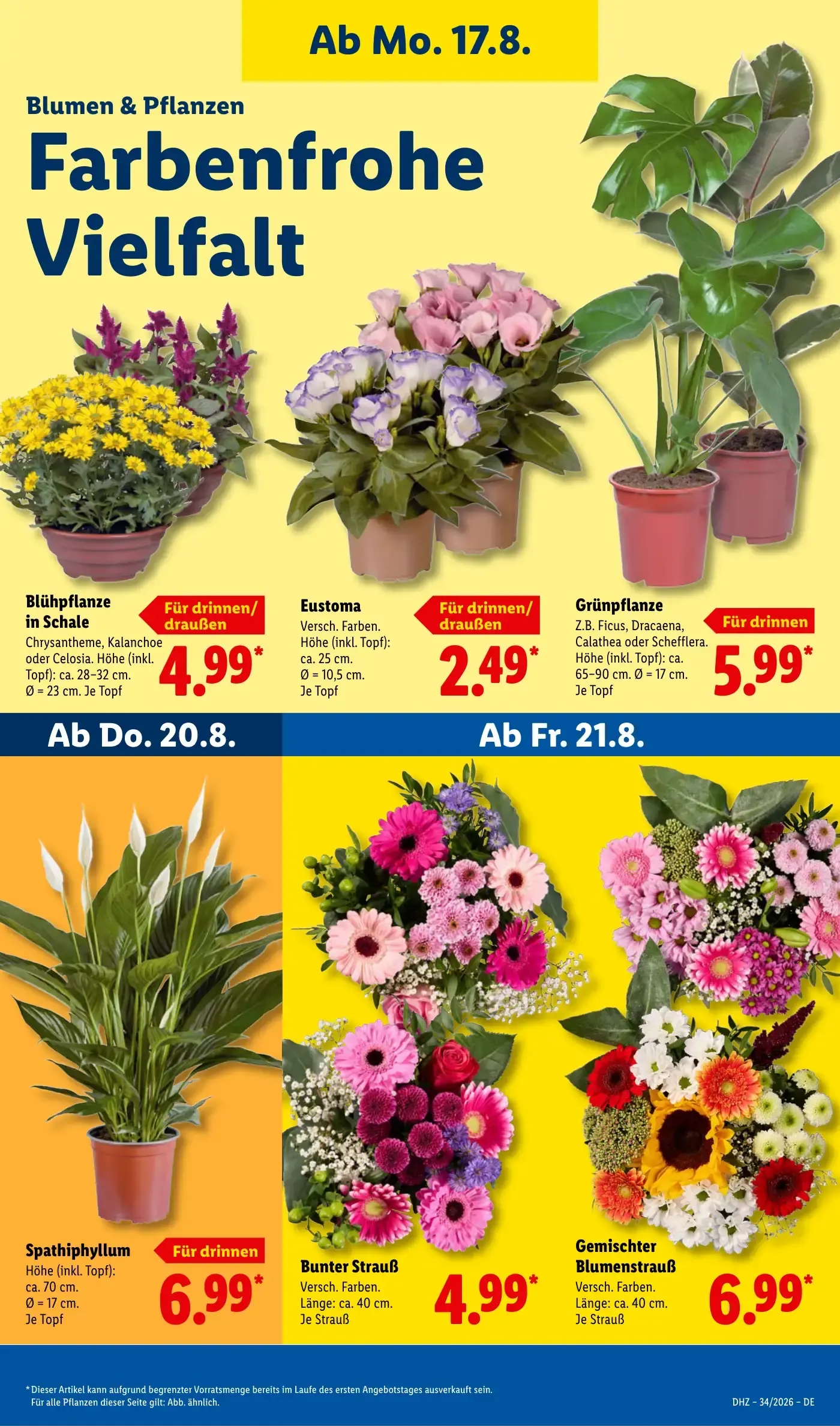 Lidl Prospekt Seite 25