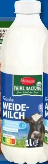 Frische Weidemilch
