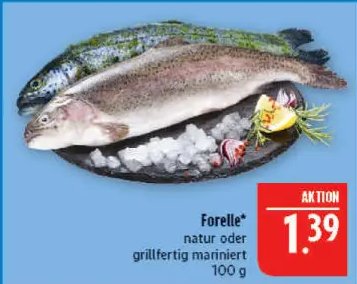 Forelle