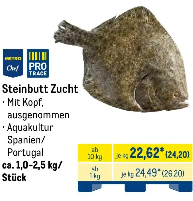Steinbutt Zucht