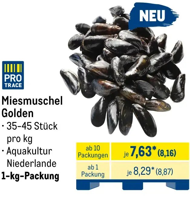 Miesmuschel Golden