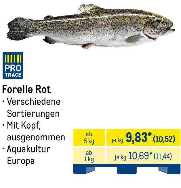 Forelle Rot