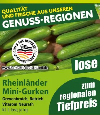 Rheinländer Mini-Gurken