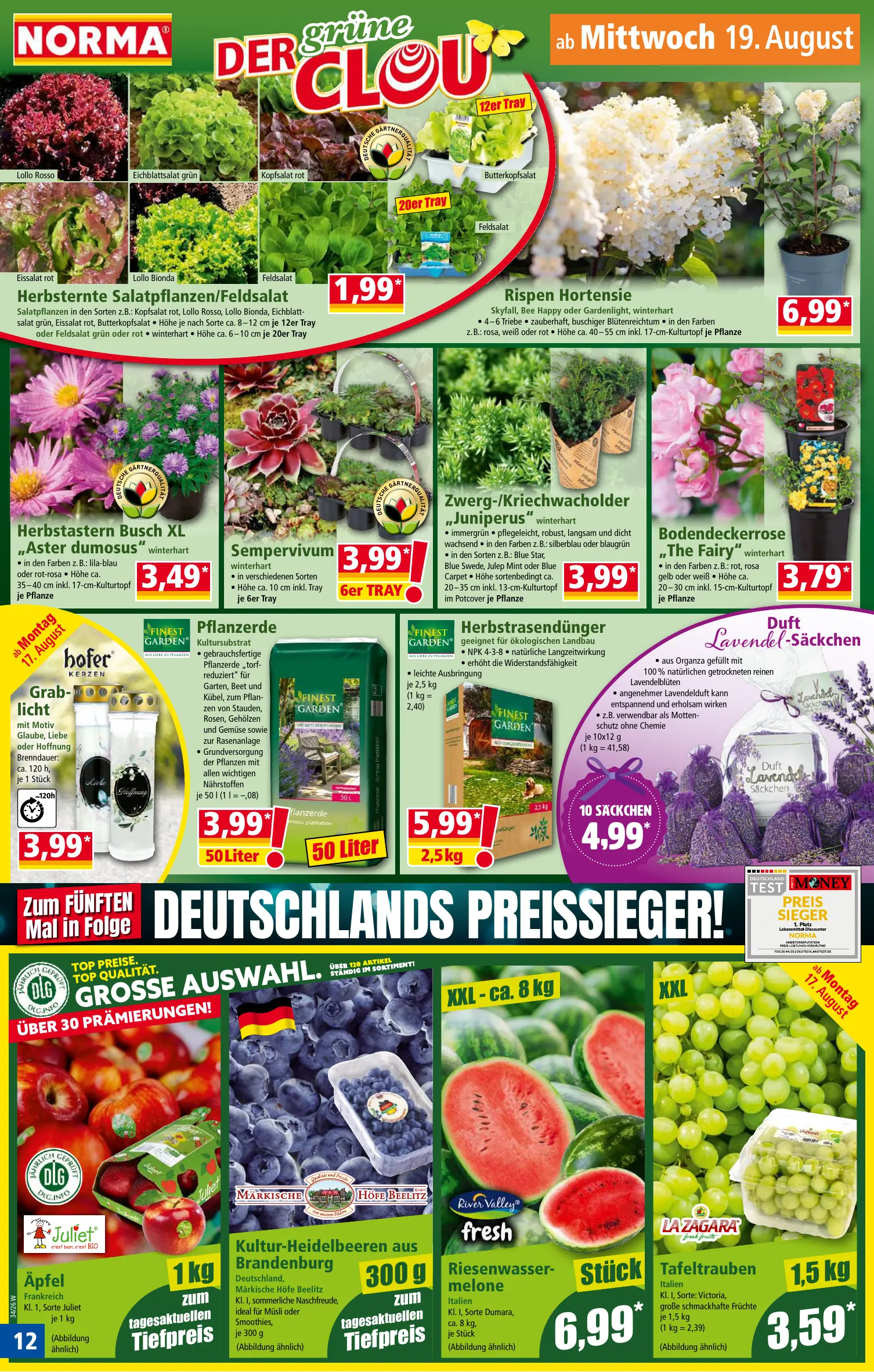Norma Prospekt Seite 12