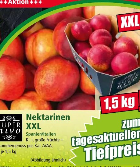 Nektarinen XXL