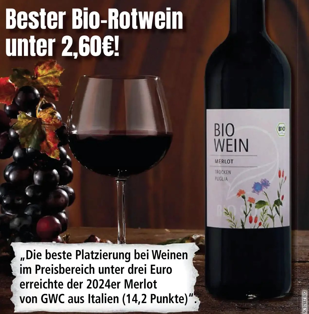 Bio Wein Merlot