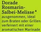 Dorade Rosmarin-Salbei-Melisse