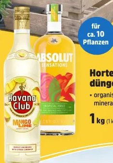 Absolut Sensation Tropical Fruit oder Havana Club Mango Lime