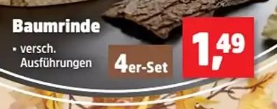 Baumrinde