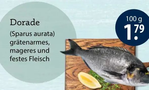 Dorade