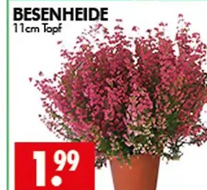 BESENHEIDE
